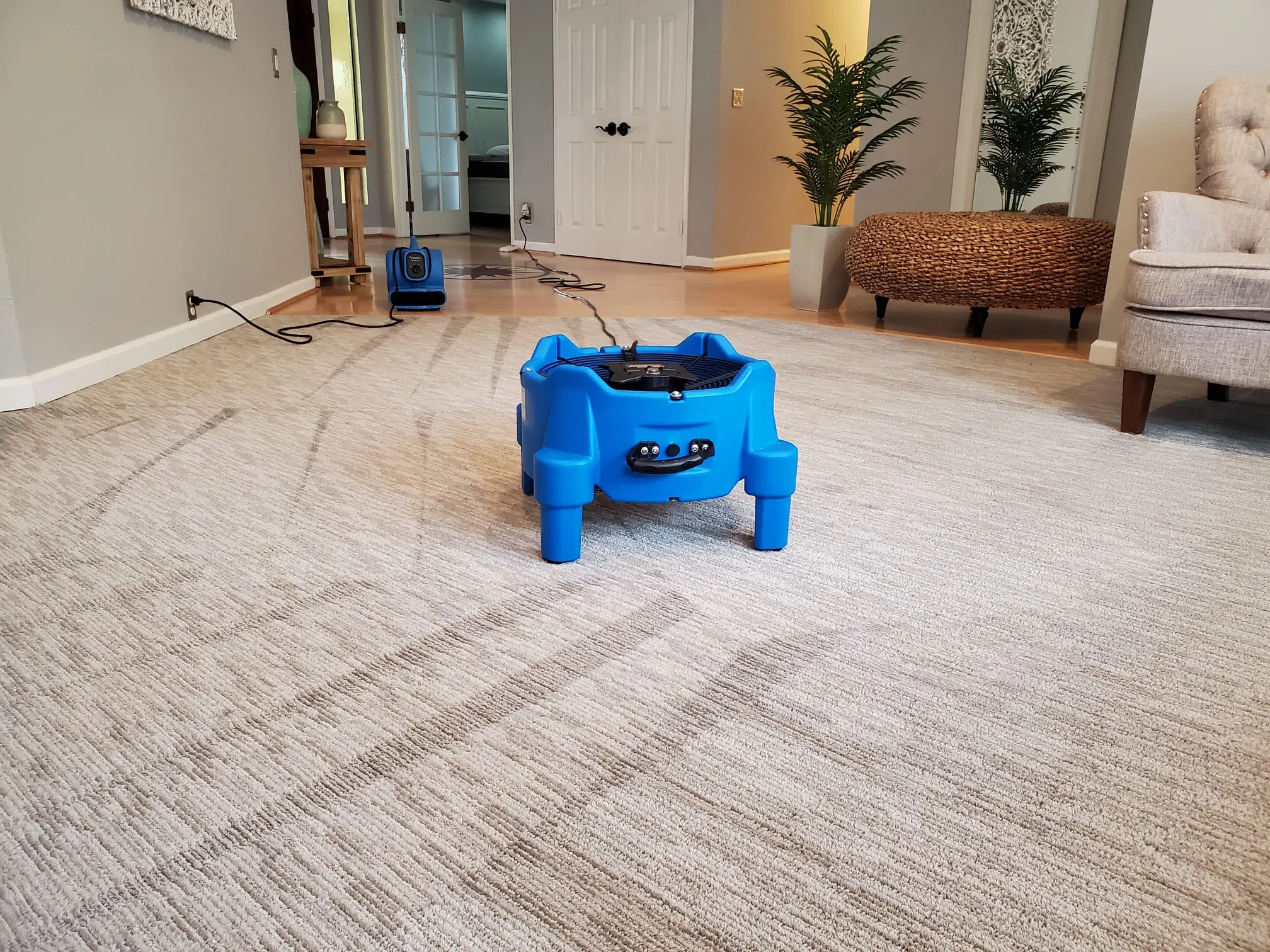Carpet Cleaning img (2) Carpet Cleaning img (2)